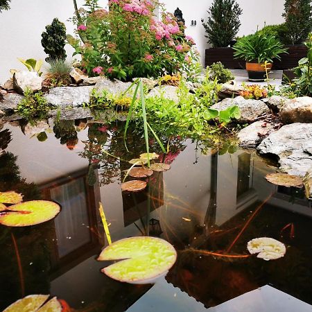 ​Gaestehaus Frans-Jozef Mönichkirchen Esterno foto